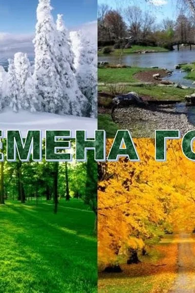 Не мысли жизни без мечты