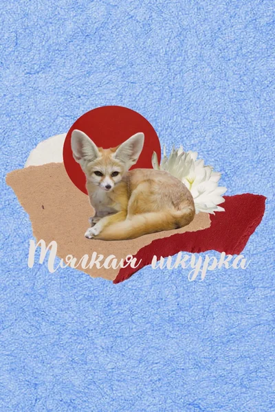 Мягкая шкурка