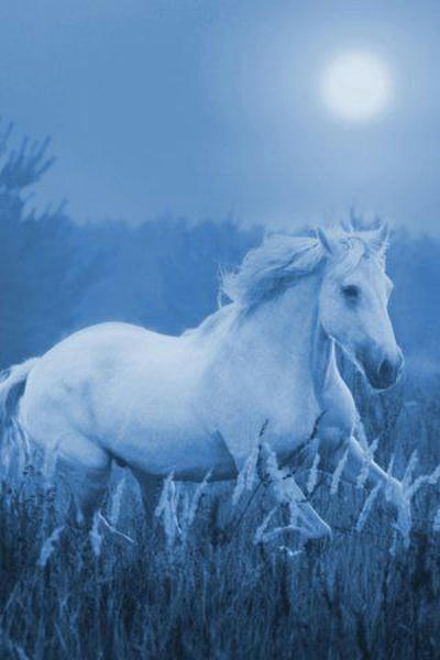 Выход из темноты