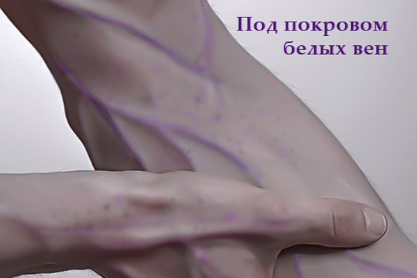 Под покровом белых вен
