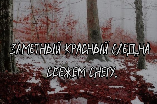 кровавый след на свежем снегу.
