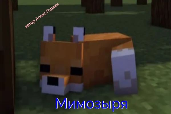 Мимозыря